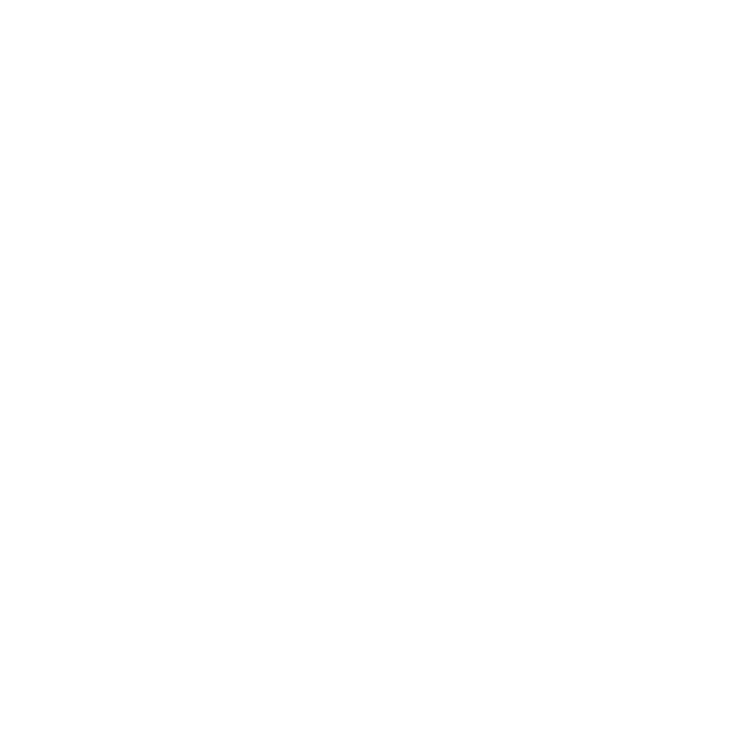 Tattoo Flash Zipper Logo #ffffff