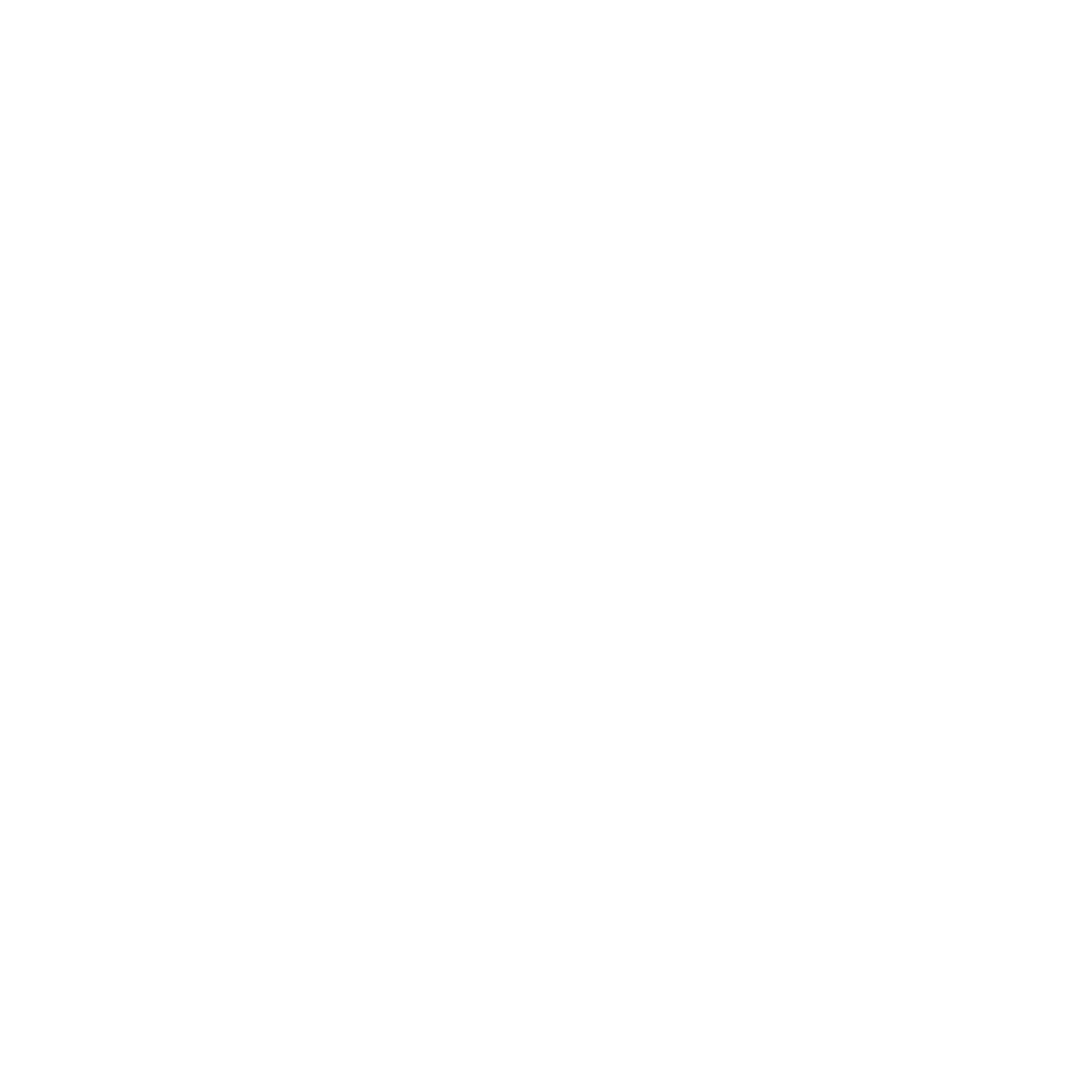 Mountain Circle Fire Logo #ffffff