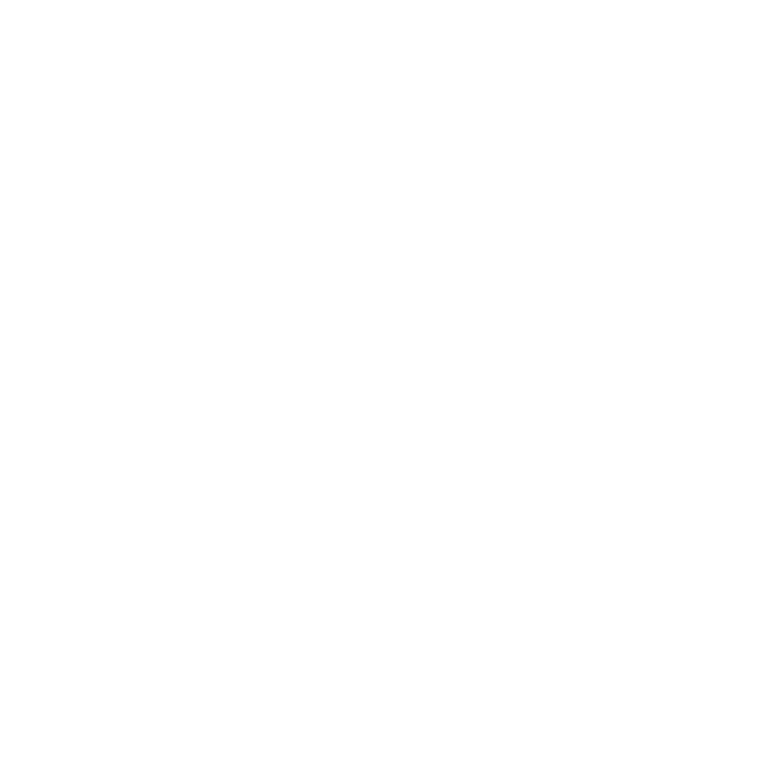 Swiss Cross Bold Logo #ffffff