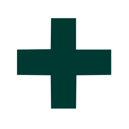 Swiss Cross Bold Logo #003932