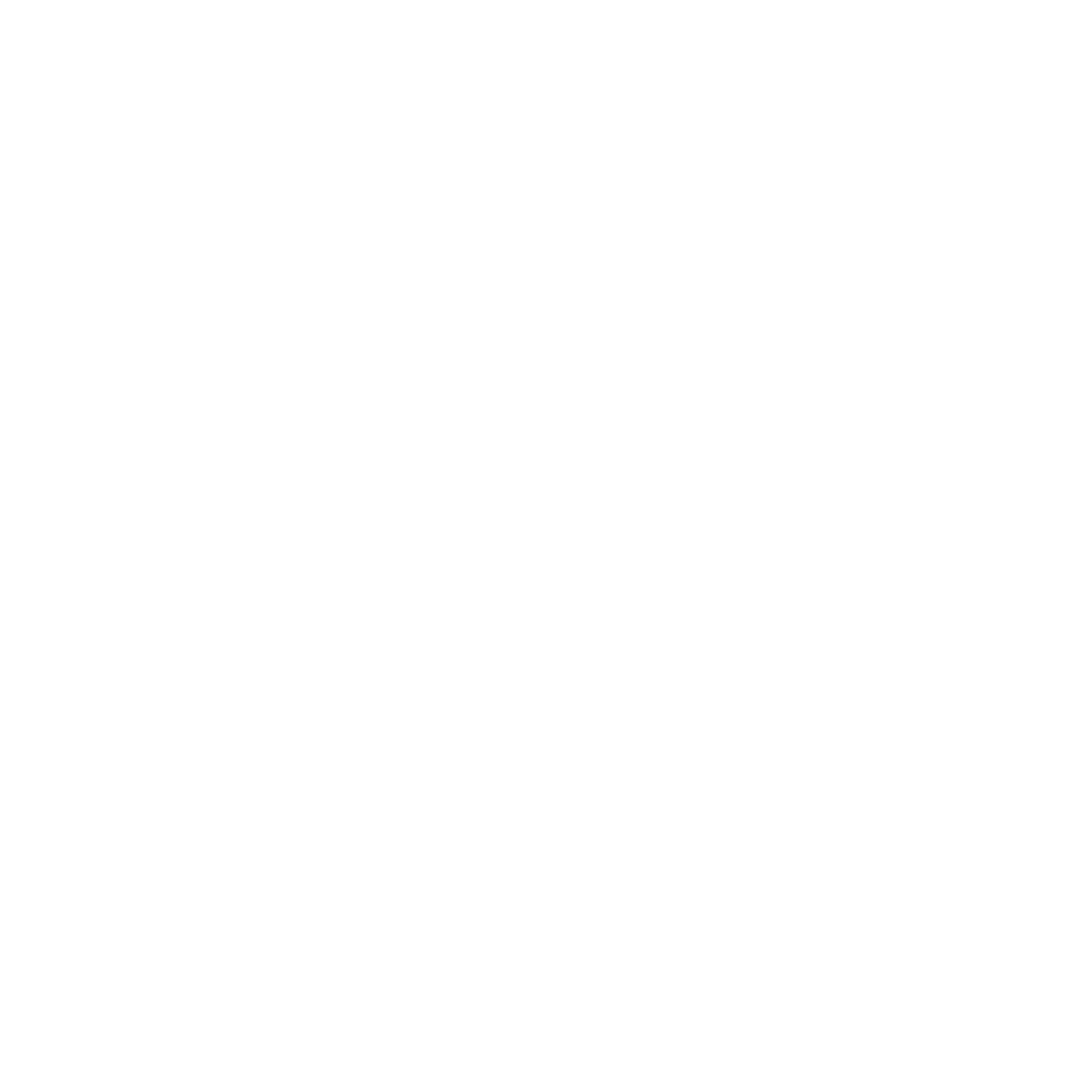 Swiss Cross Block Logo #ffffff