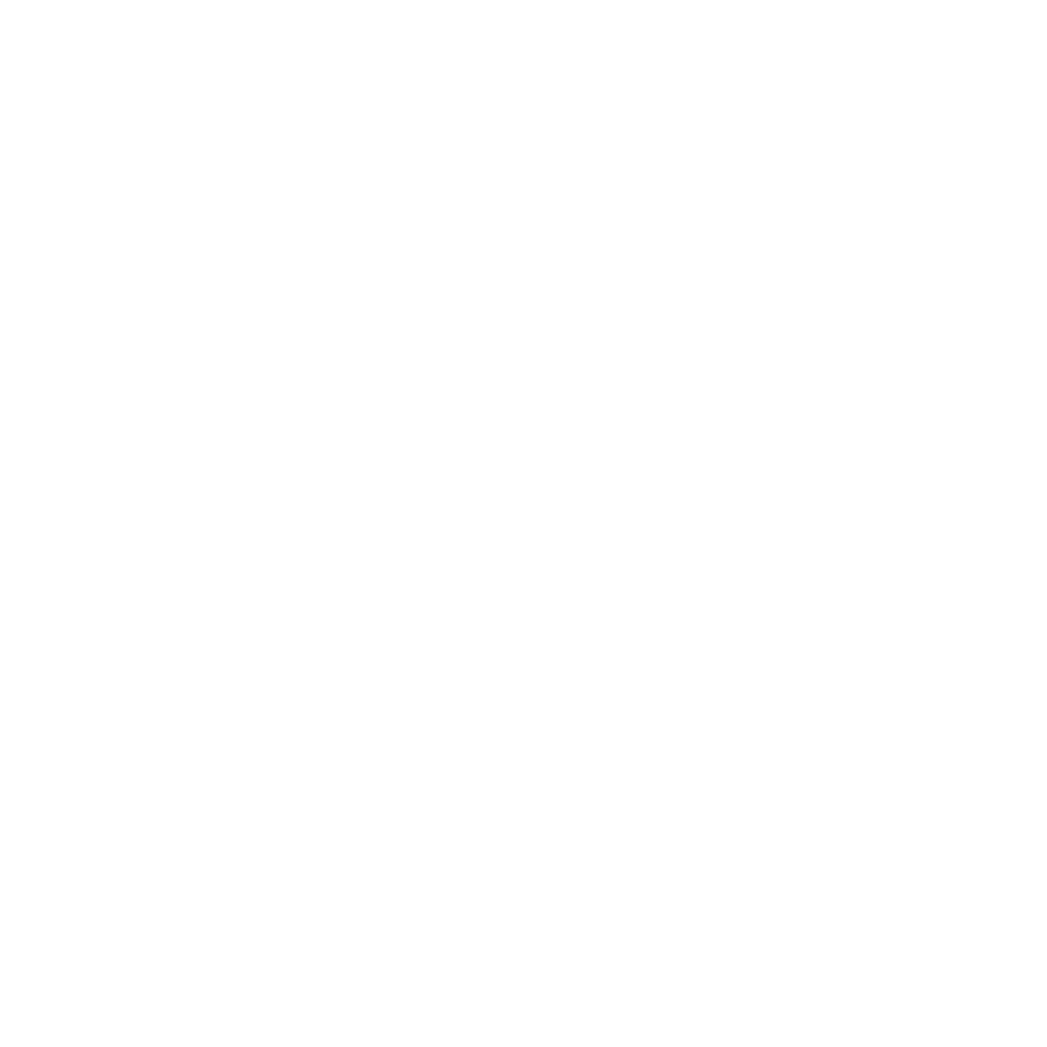 Compass Rose Arrow Logo #ffffff
