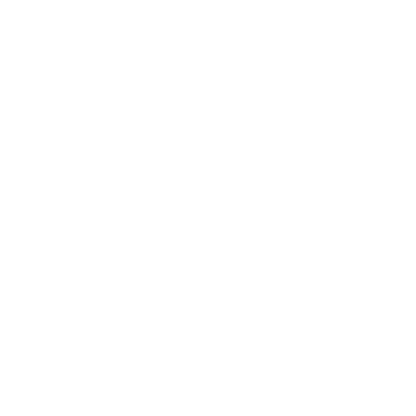 Crossed Arrows Circle Logo #ffffff