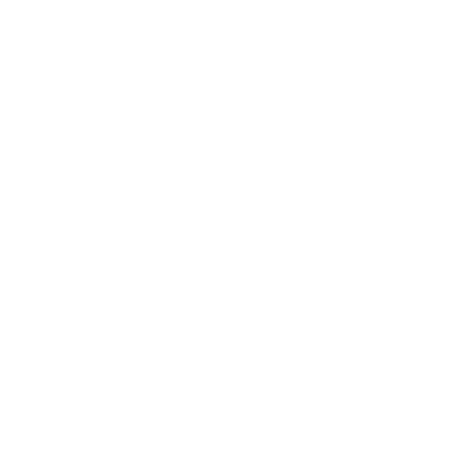 Crossed Arrows Boho Logo #ffffff