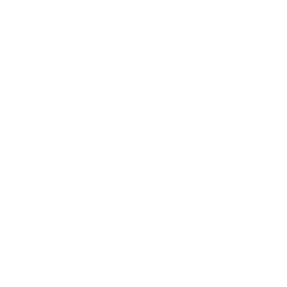 Crossed Arrows Boho Logo #ffffff