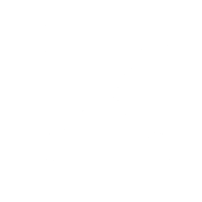 Crossed Arrows Riso Logo #ffffff
