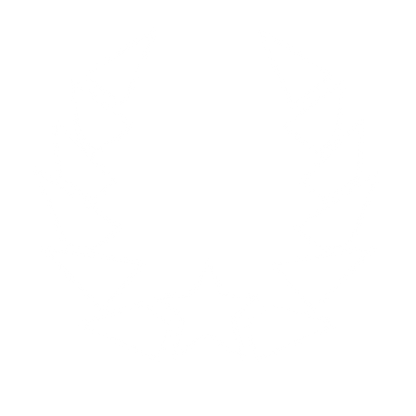 Bold Geometric Wreath Star Logo #ffffff