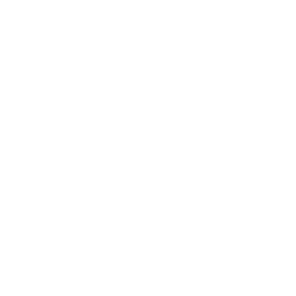 Star Light Bulb Logo #ffffff