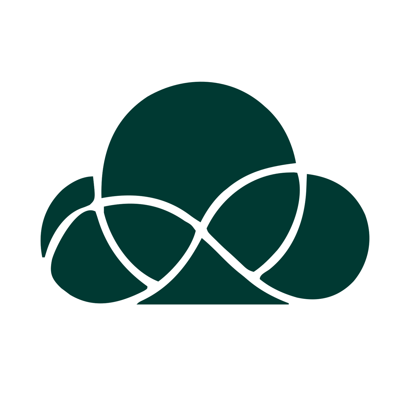 Layered Overlap Cloud Logo #003932