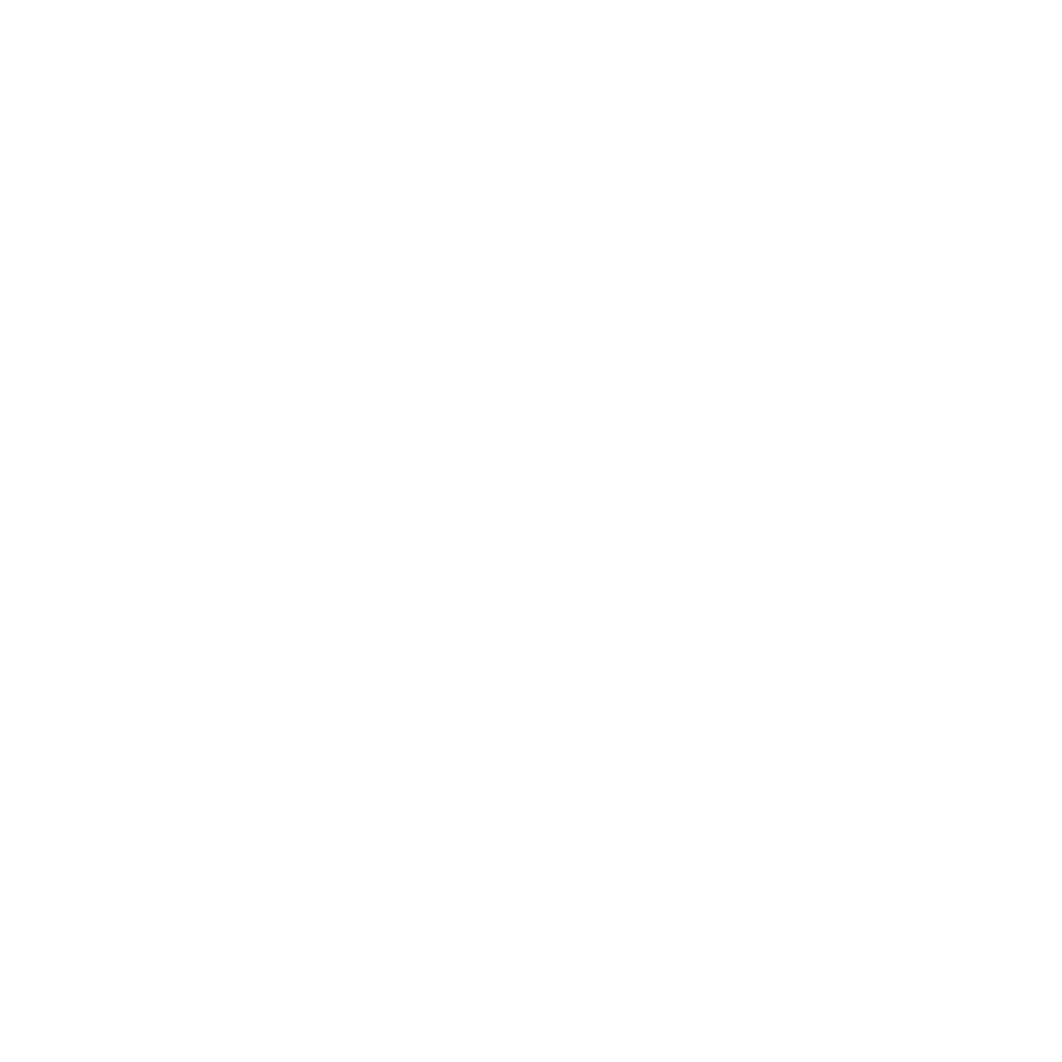Chain Link Logo #ffffff