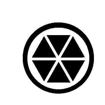 Hexagon Circle Kaleidoscope Logo