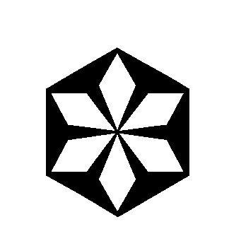 Hexagon Snowflake Pinwheel Logo