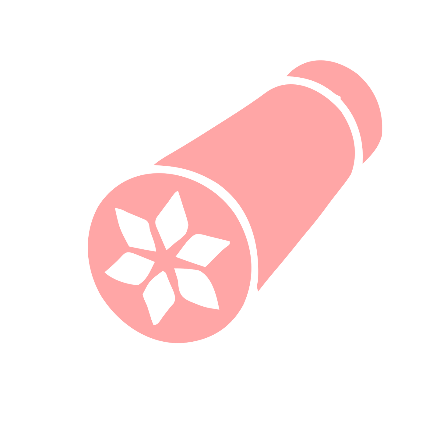 Kaleidoscope Pictogram Logo #ffa6a6