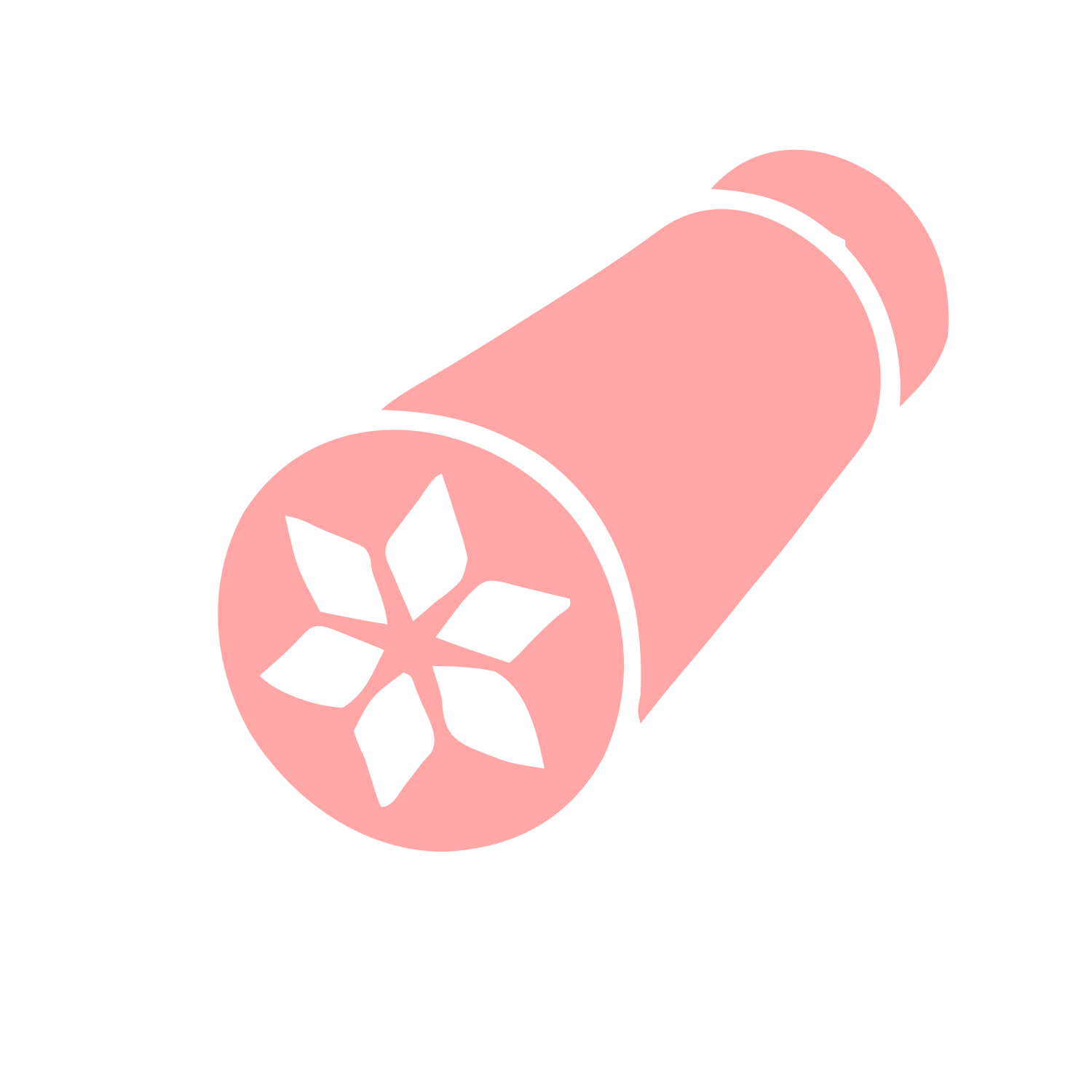 Kaleidoscope Pictogram Logo #ffa6a6