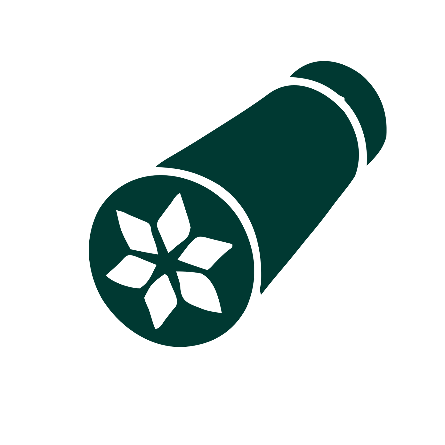 Kaleidoscope Pictogram Logo #003932