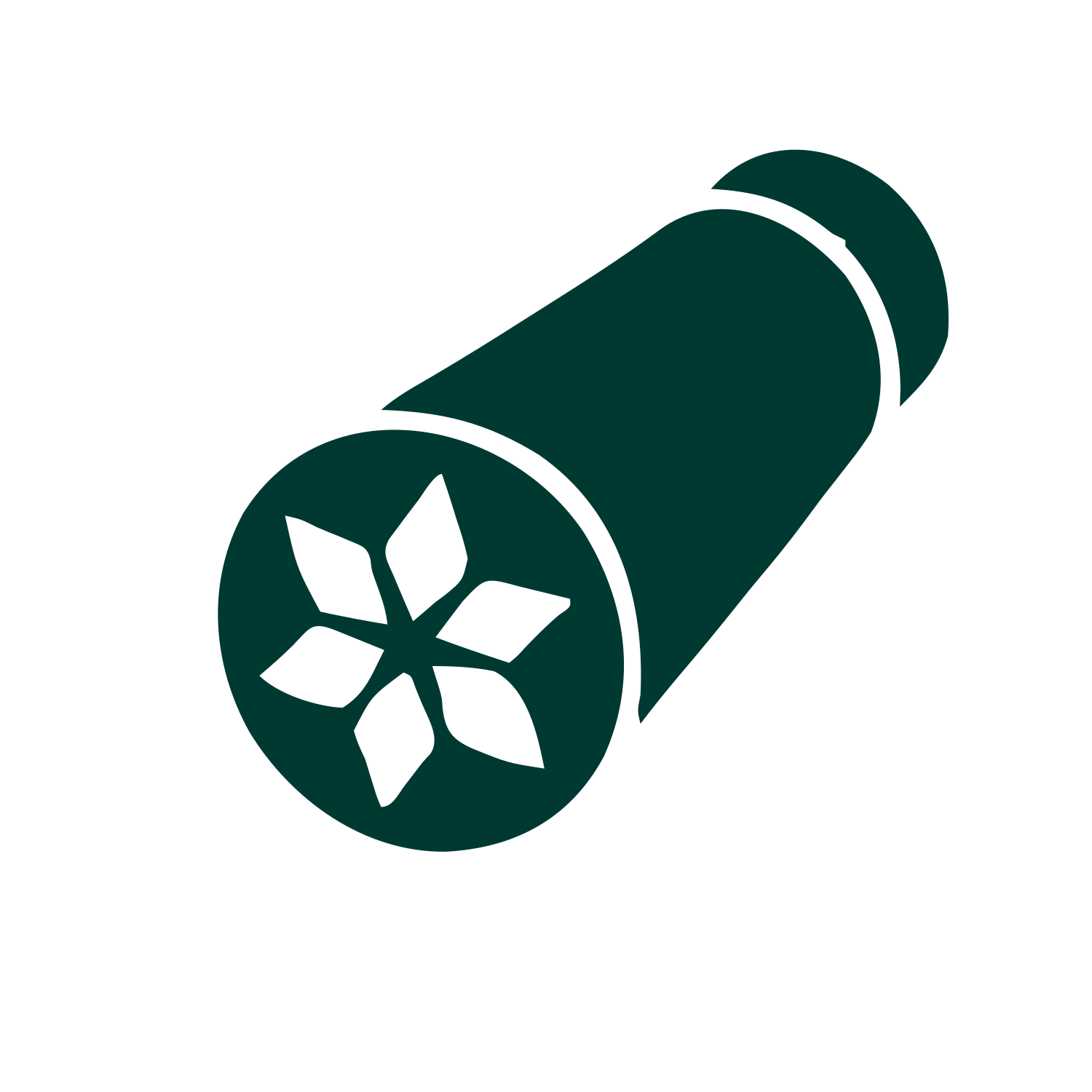 Kaleidoscope Pictogram Logo #003932