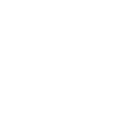 Kaleidoscope Star Circle Logo #ffffff
