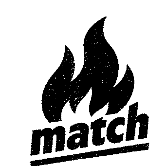 Flame Match Wordmark Logo