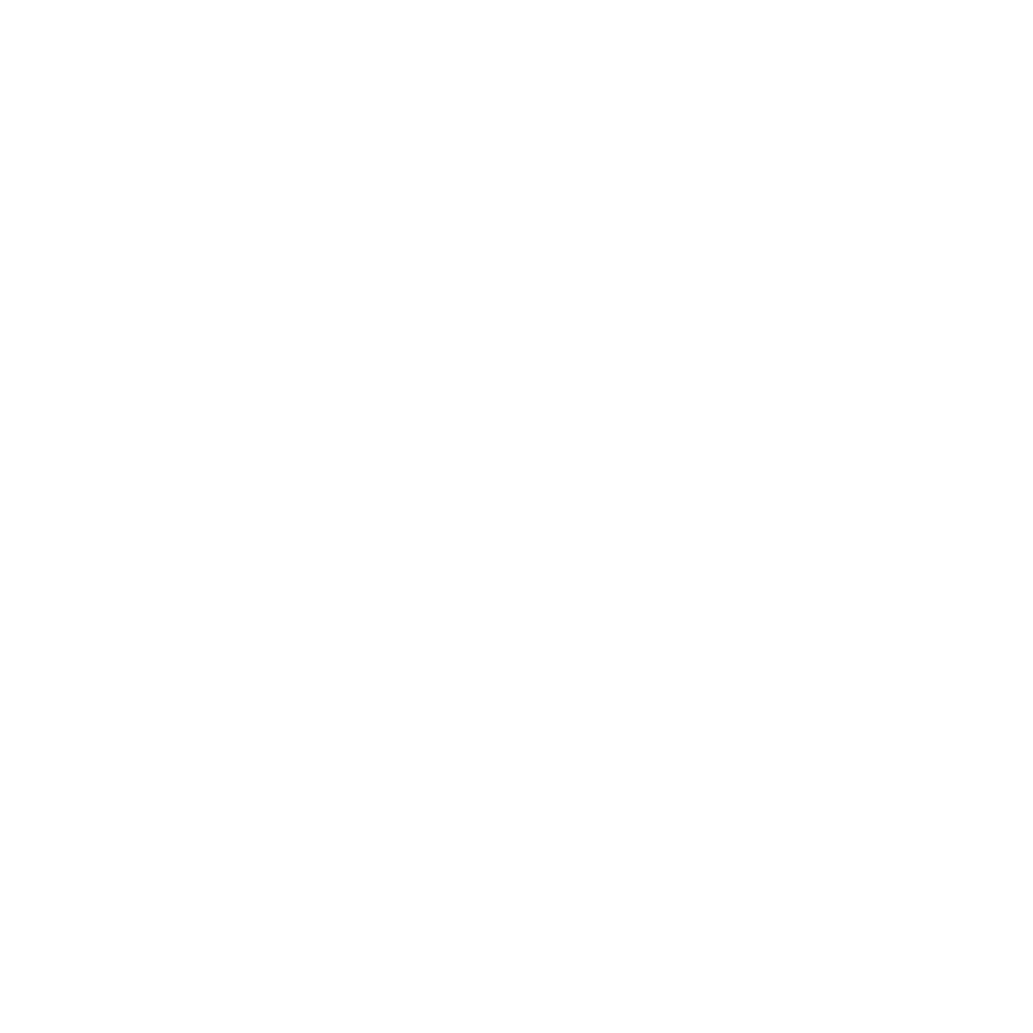Flame Match Wordmark Logo #ffffff