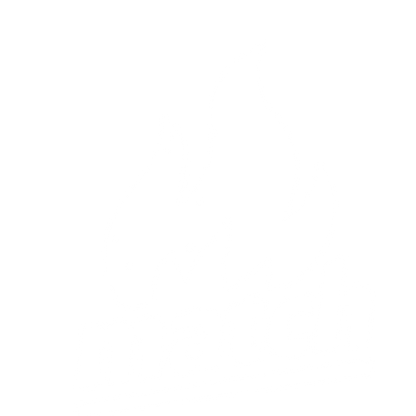 Flame Match Wordmark Logo #ffffff