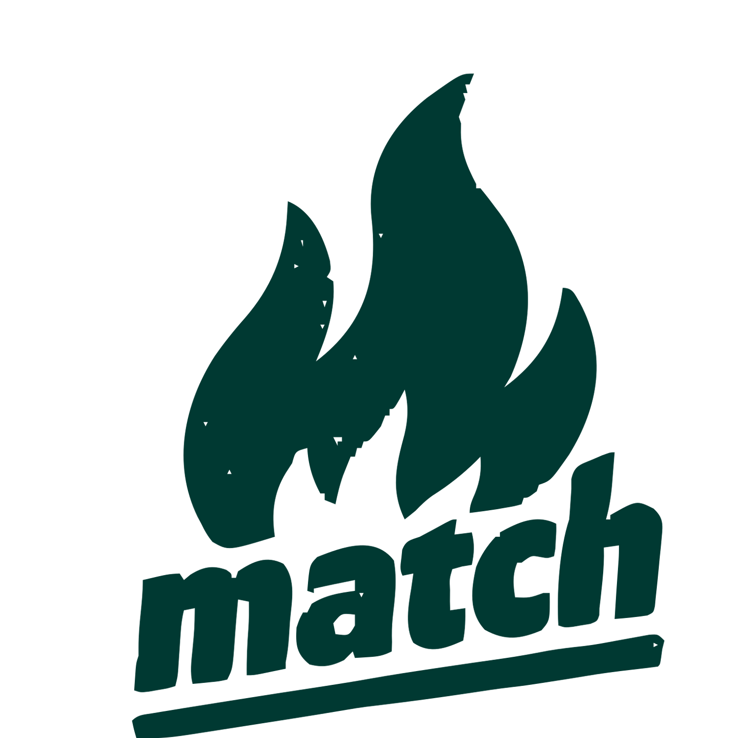 Flame Match Wordmark Logo #003932