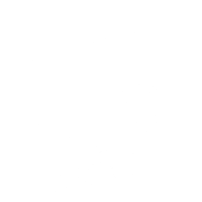 Striking Match Logo #ffffff