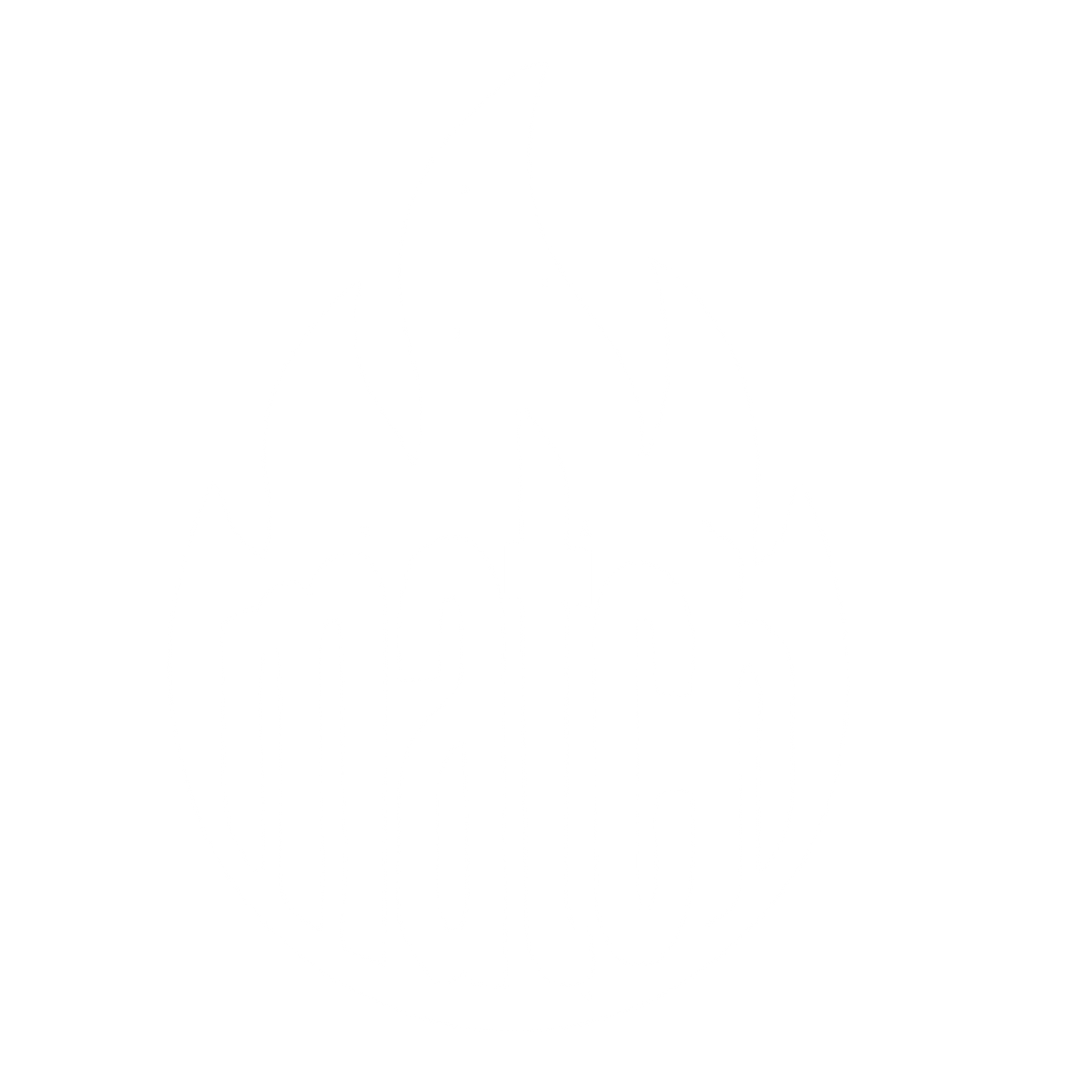Flame Wordmark Match Logo #ffffff