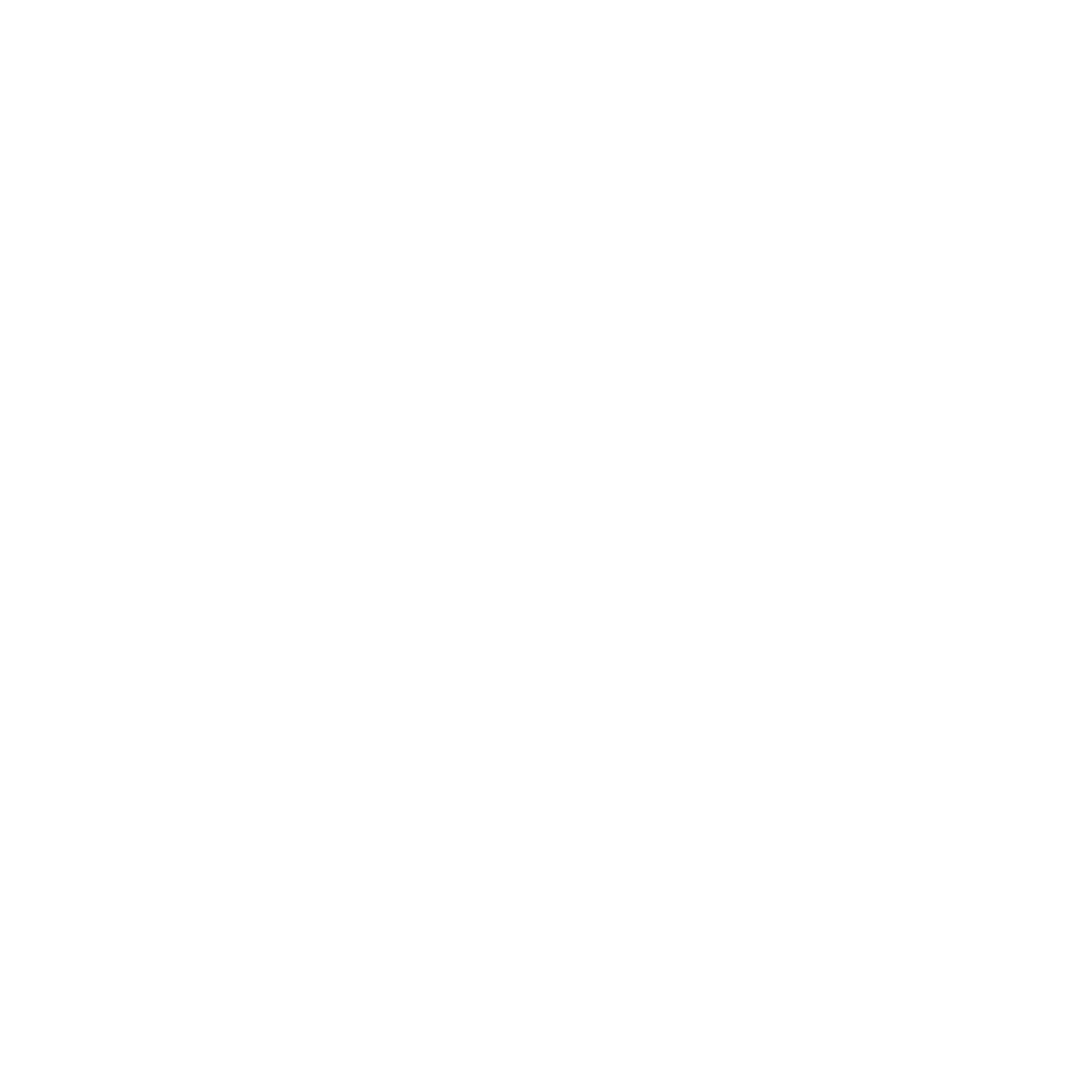 Flame Wordmark Match Logo #ffffff