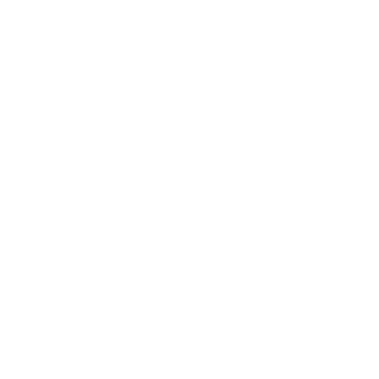 Flame Wordmark Match Logo #ffffff