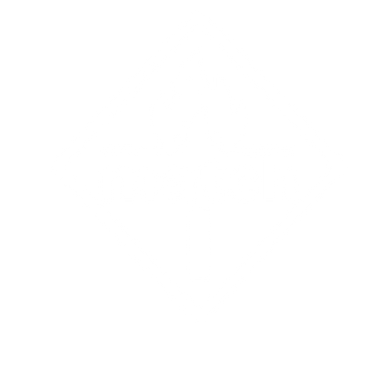 Flaming Match Diamond Logo #ffffff