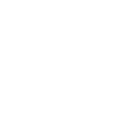 Monoline Medal Star Logo #ffffff