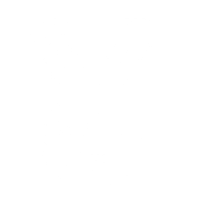 Crown Medal Logo #ffffff