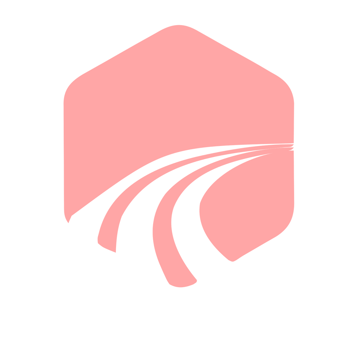 Road Tracks Hexagon Logo #ffa6a6