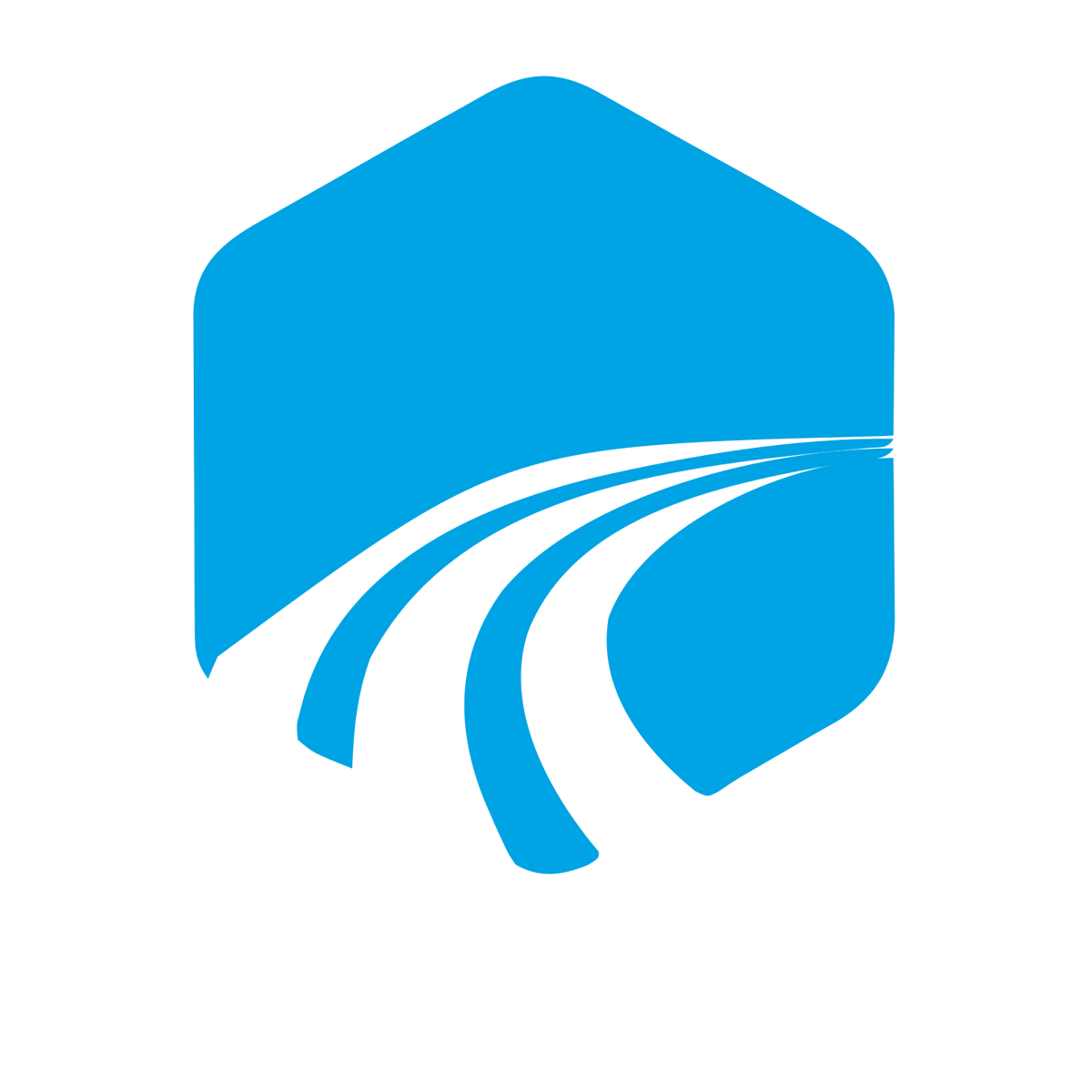 Road Tracks Hexagon Logo #00a3e4