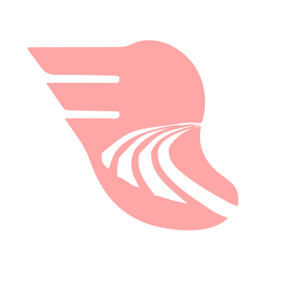 Winged Track Road Logo #ffa6a6