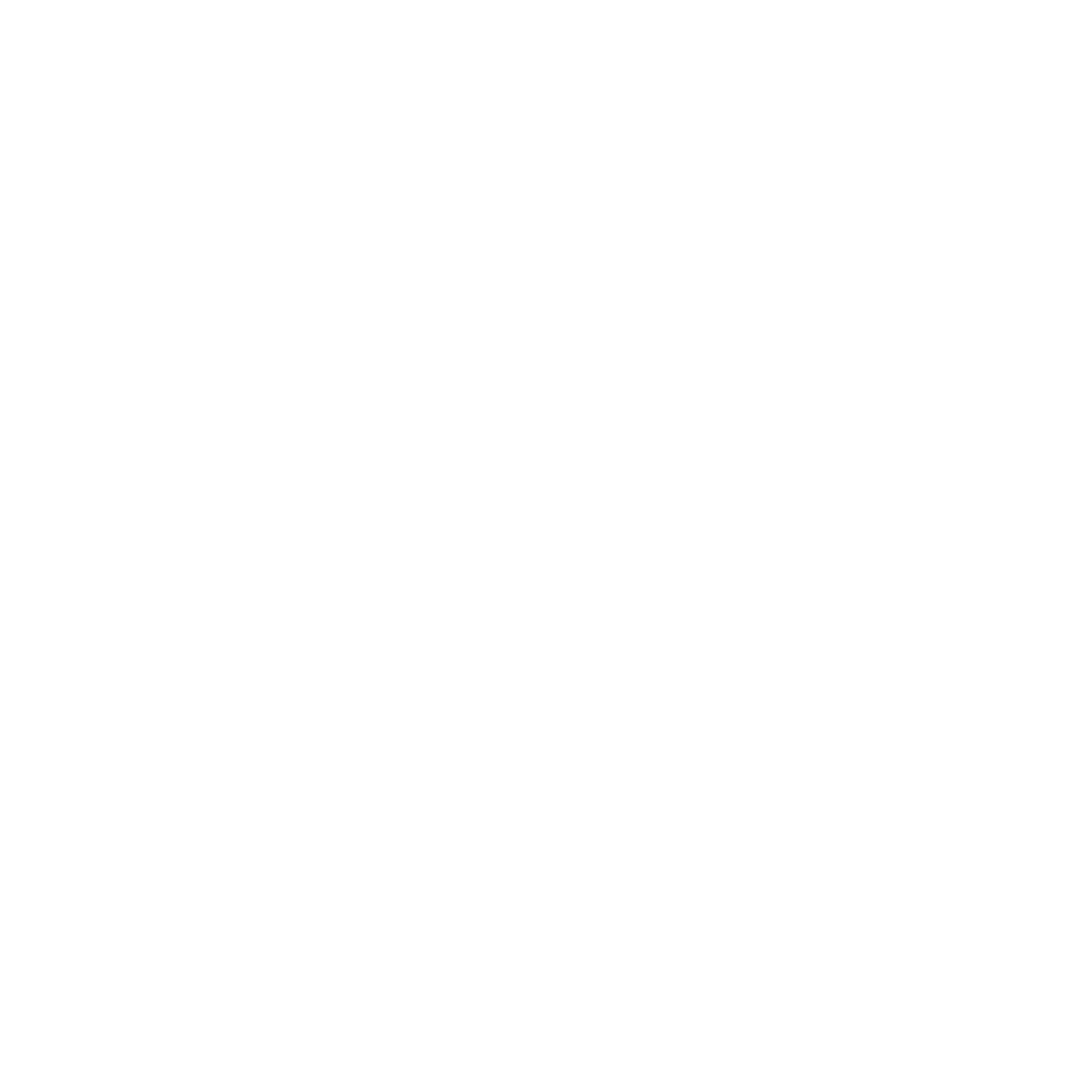 Winged Track Road Logo #ffffff