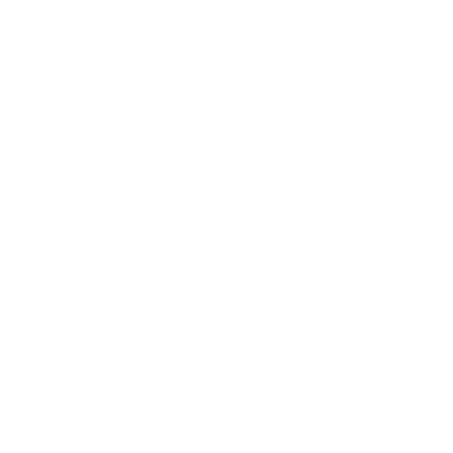 Winged Track Road Logo #ffffff