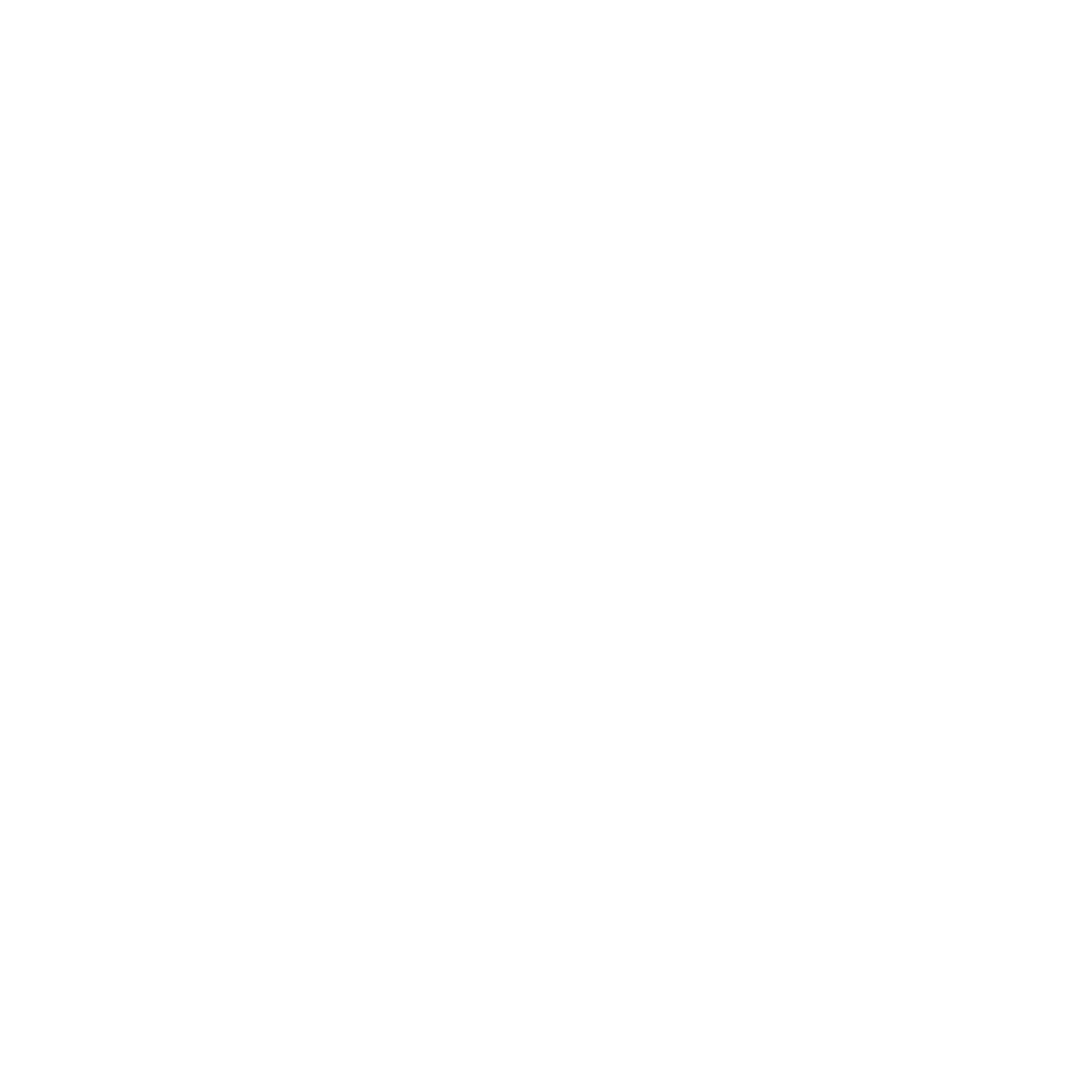 Four Point Star Logo #ffffff