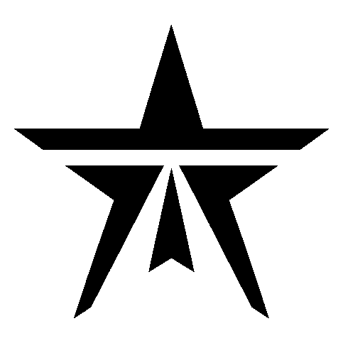 Bold Geometric Star Logo