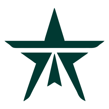 Bold Geometric Star Logo #003932