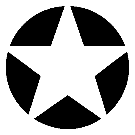 Star Circle Negative Space Logo