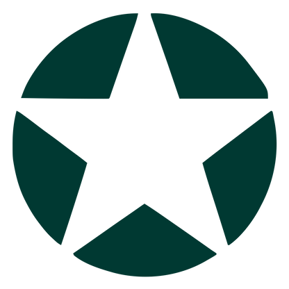 Star Circle Negative Space Logo #003932