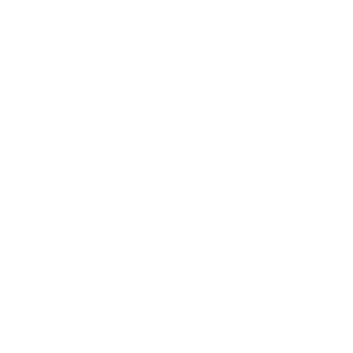 Star Shield Negative Space Logo #ffffff
