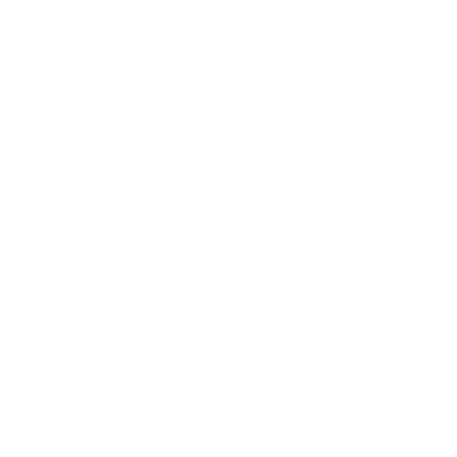 Star Shield Negative Space Logo #ffffff