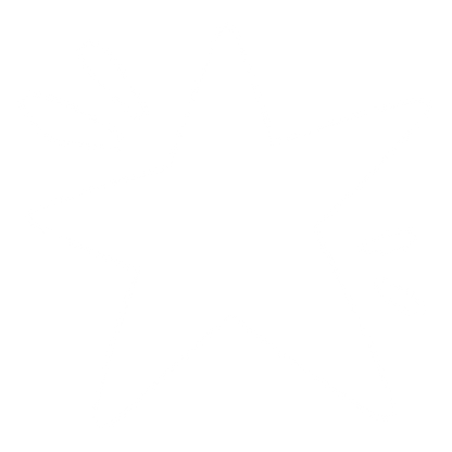 Hand-Drawn Star Logo #ffffff