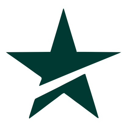 Sliced Star Logo #003932