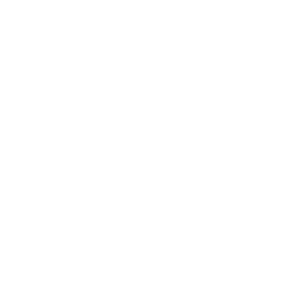 Fragmented Star Logo #ffffff