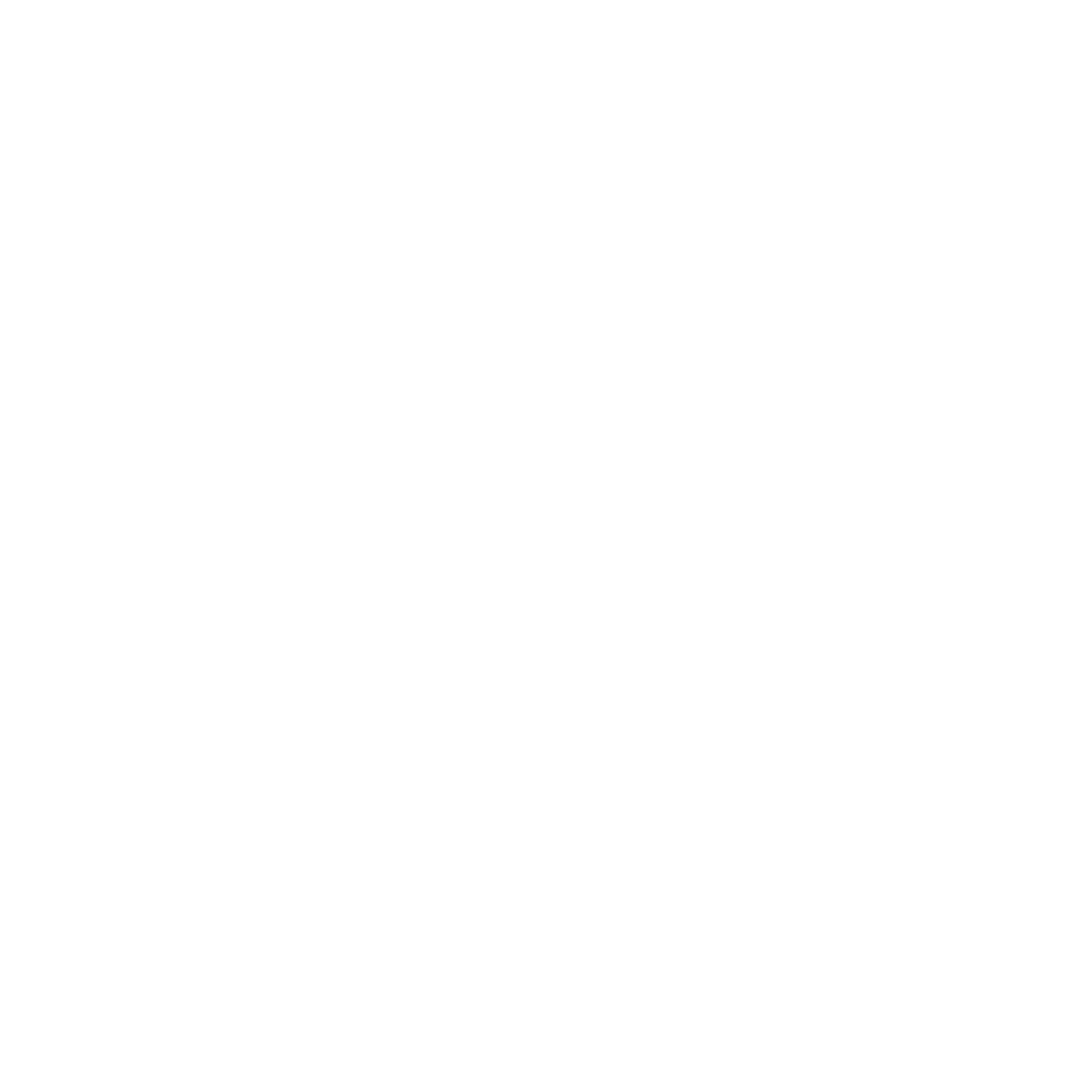Geometric Bear Logo #ffffff