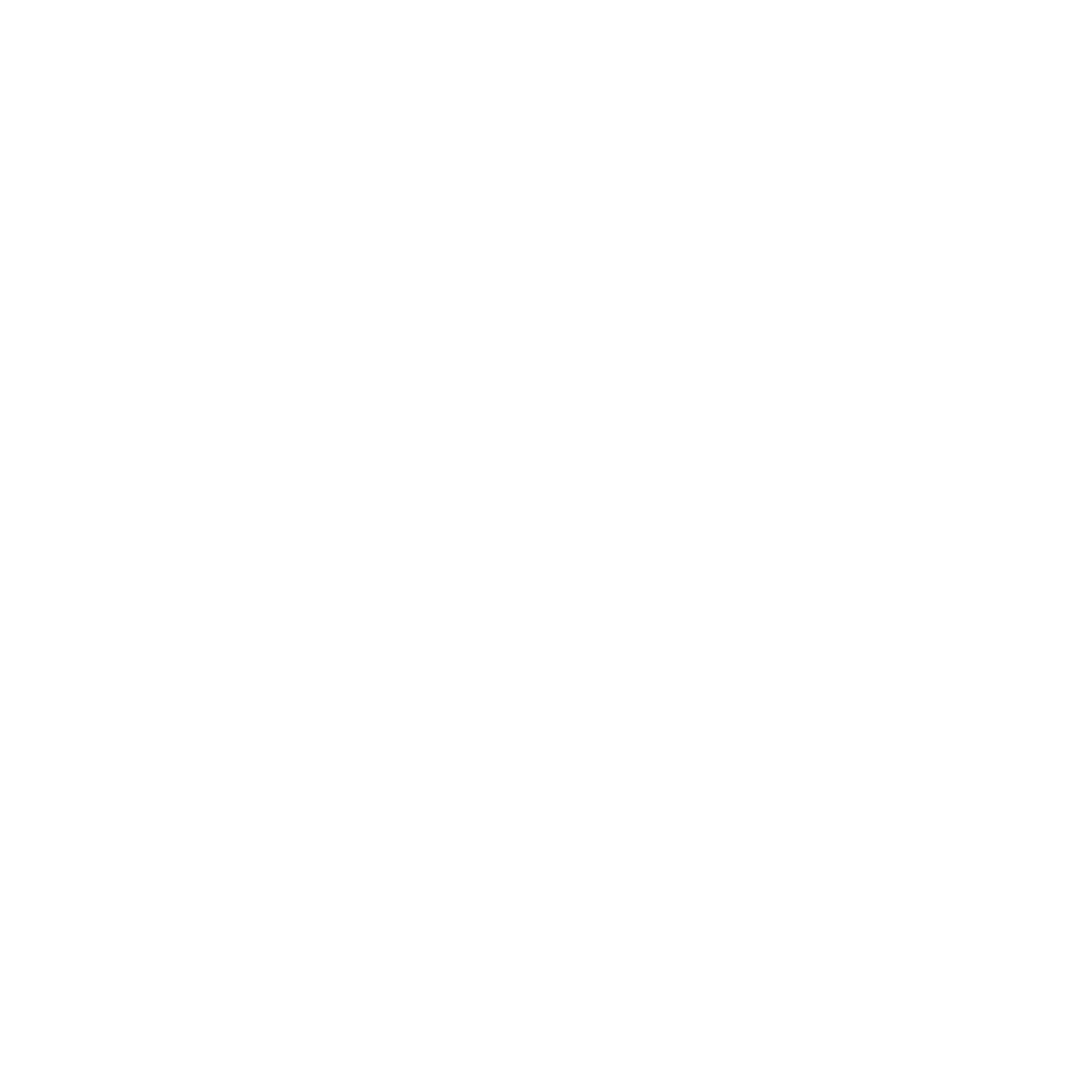 Bold Geometric Cat Logo #ffffff