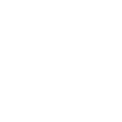 Angular Lion Head Logo #ffffff